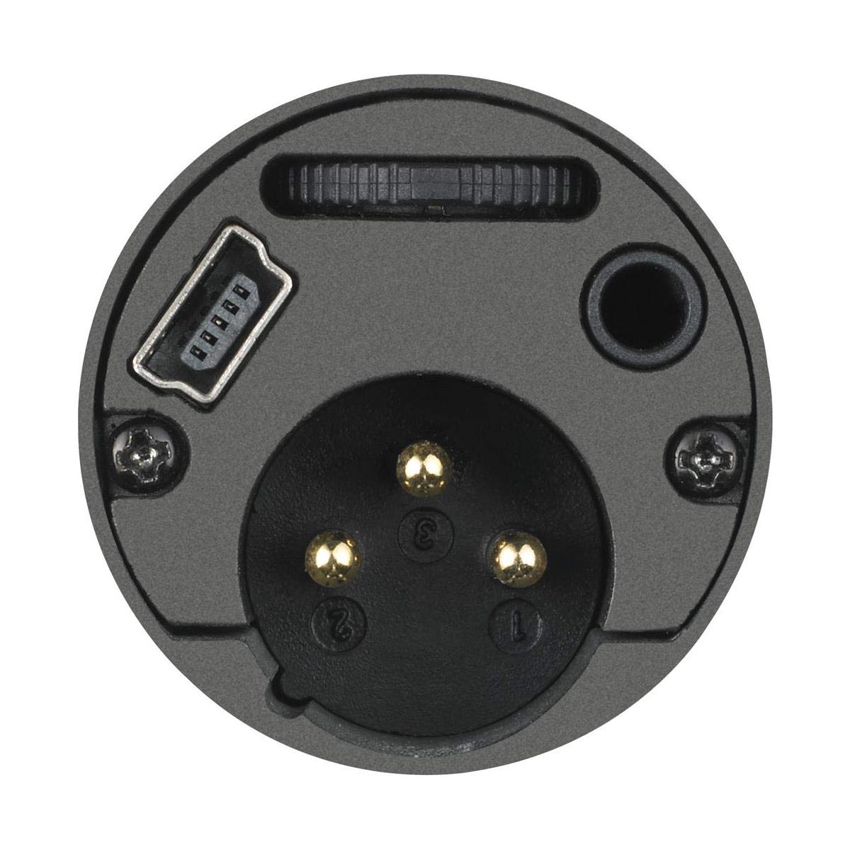 Audio - Technica AT2005USB Cardioid Dynamic USB/XLR Microphone (Black) - electronicsexpo.com - Microphones