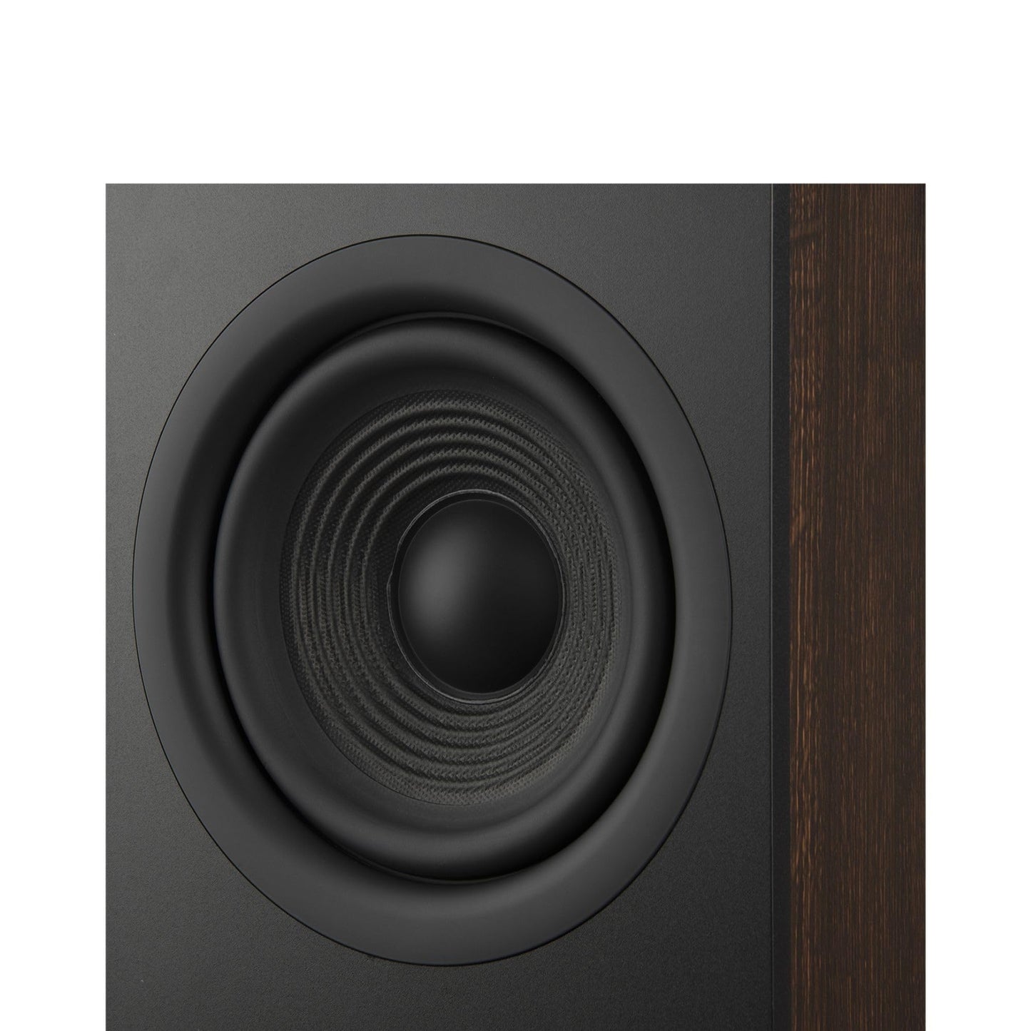 JBL Stage 260F Floor - Standing Speaker - electronicsexpo.com - Floor Standing Speakers