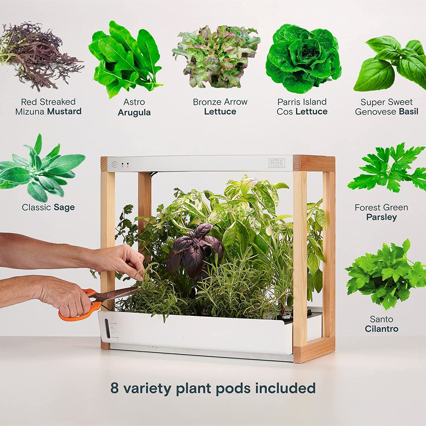 Rise Gardens Personal Garden and Starter Kit Hydroponics Growing System (Open Box) - electronicsexpo.com - Smart Gardens