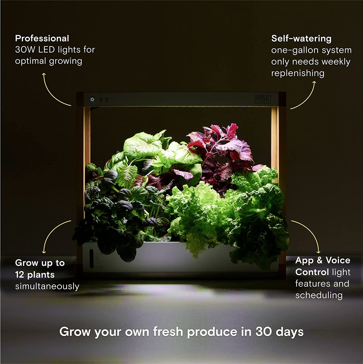 Rise Gardens Personal Garden and Starter Kit Hydroponics Growing System (Open Box) - electronicsexpo.com - Smart Gardens