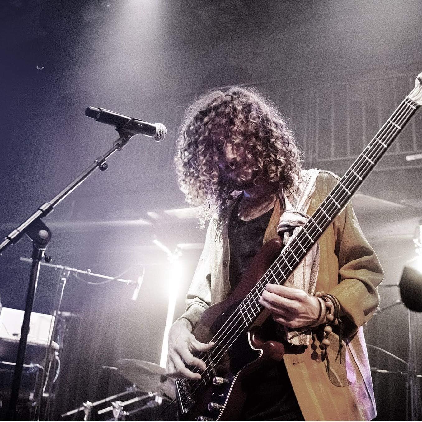 Shure SM58S Vocal Microphone with On/Off Switch - electronicsexpo.com - Microphones