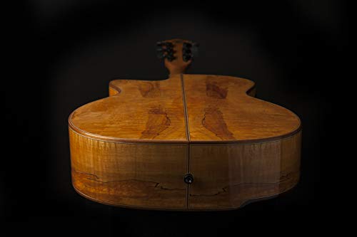 Washburn 6 String Acoustic - Electric Guitar (Natural) - electronicsexpo.com - Acoustic Guitars