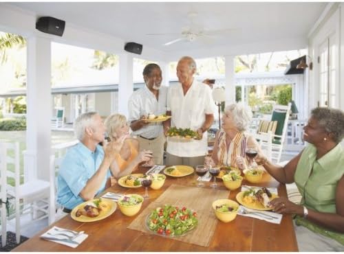 Yamaha NS - AW294 Outdoor Speakers (4 Speaker Bundle) - electronicsexpo.com - Outdoor Speakers