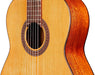 Cordoba C5 Lefty Iberia Series Acoustic Nylon-String Guitar (Rosewood)