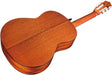 Cordoba C5 SP Classical Acoustic Nylon String Guitar (Iberia Series)