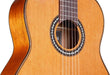 Cordoba C9 CD/MH Acoustic Nylon String Classical Guitar