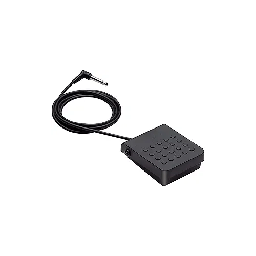 Casio SP - 3 Sustain Pedal - electronicsexpo.com - Keyboard Accessories