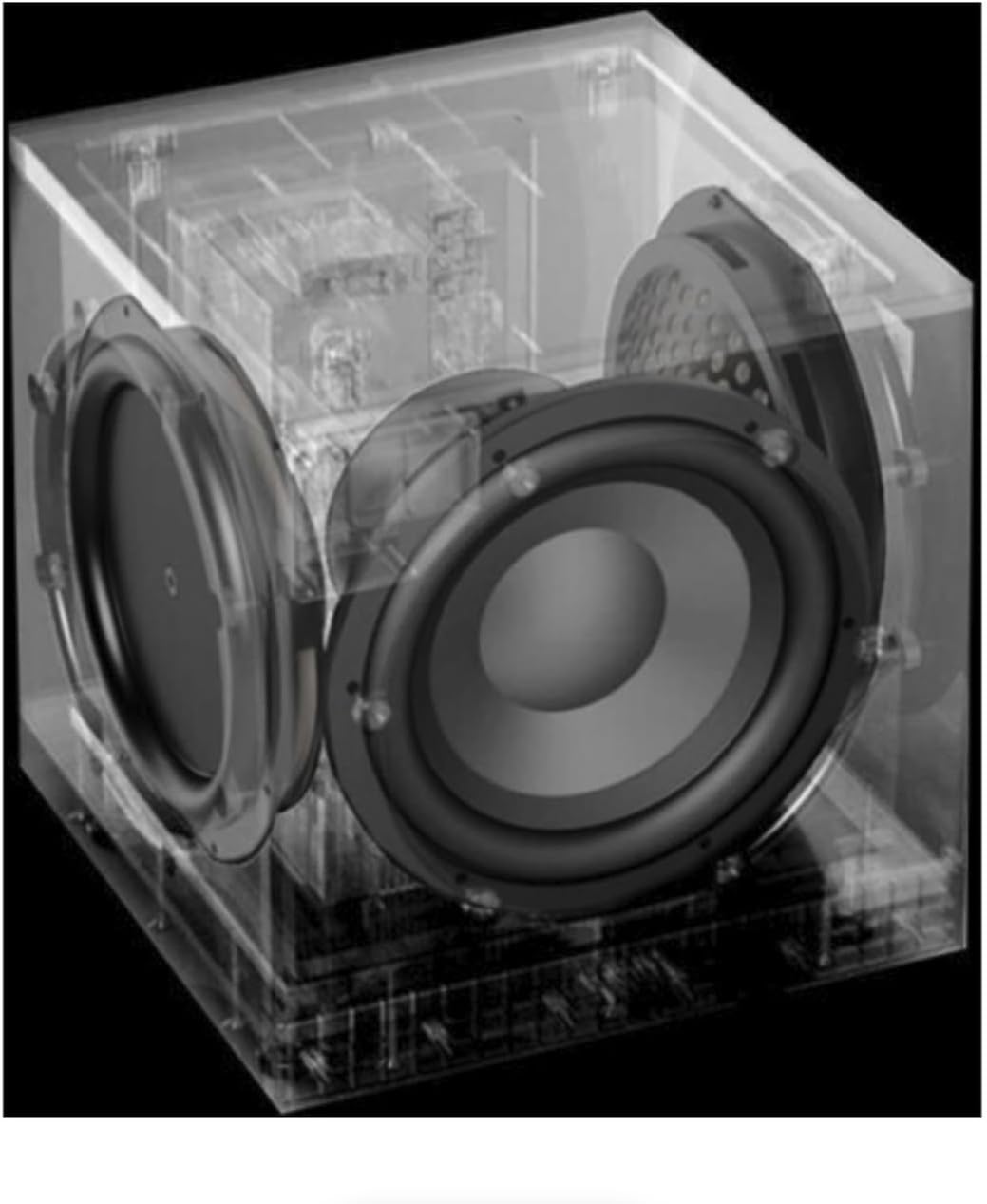 Definitive Technology Descend DN12 12" Powered Subwoofer Black (Open Box) - electronicsexpo.com - Subwoofers