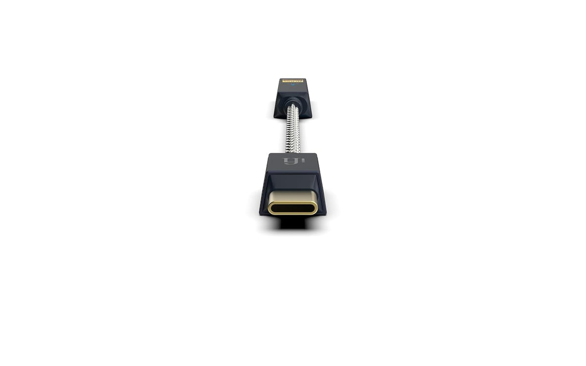 iFi Audio GO link 2 Portable USB Dongle DAC/Headphone Amplifier, Compatible with Apple and Android Mobile Devices