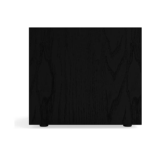 Klipsch Reference R-121SW 12" Powered Subwoofer - electronicsexpo.com-Subwoofers
