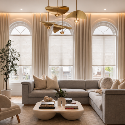 Home Automation, Lighting, & Shades