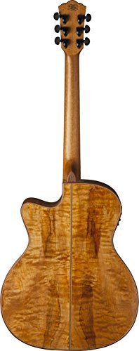 Washburn 6 String Acoustic - Electric Guitar (Natural) - electronicsexpo.com - Acoustic Guitars