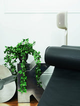 Bowers & Wilkins M - 1 Satellite Speaker (Each) - electronicsexpo.com - Surround Speakers