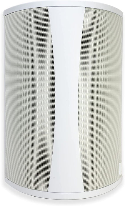 Definitive Technology AW6500 Outdoor Speaker 6.5" Woofer 200 Watts Each (White)