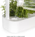 Click & Grow Indoor Herb Garden Kit with Grow Light/Vegetable & Herb Garden Starter Kit with 9 Plant pods